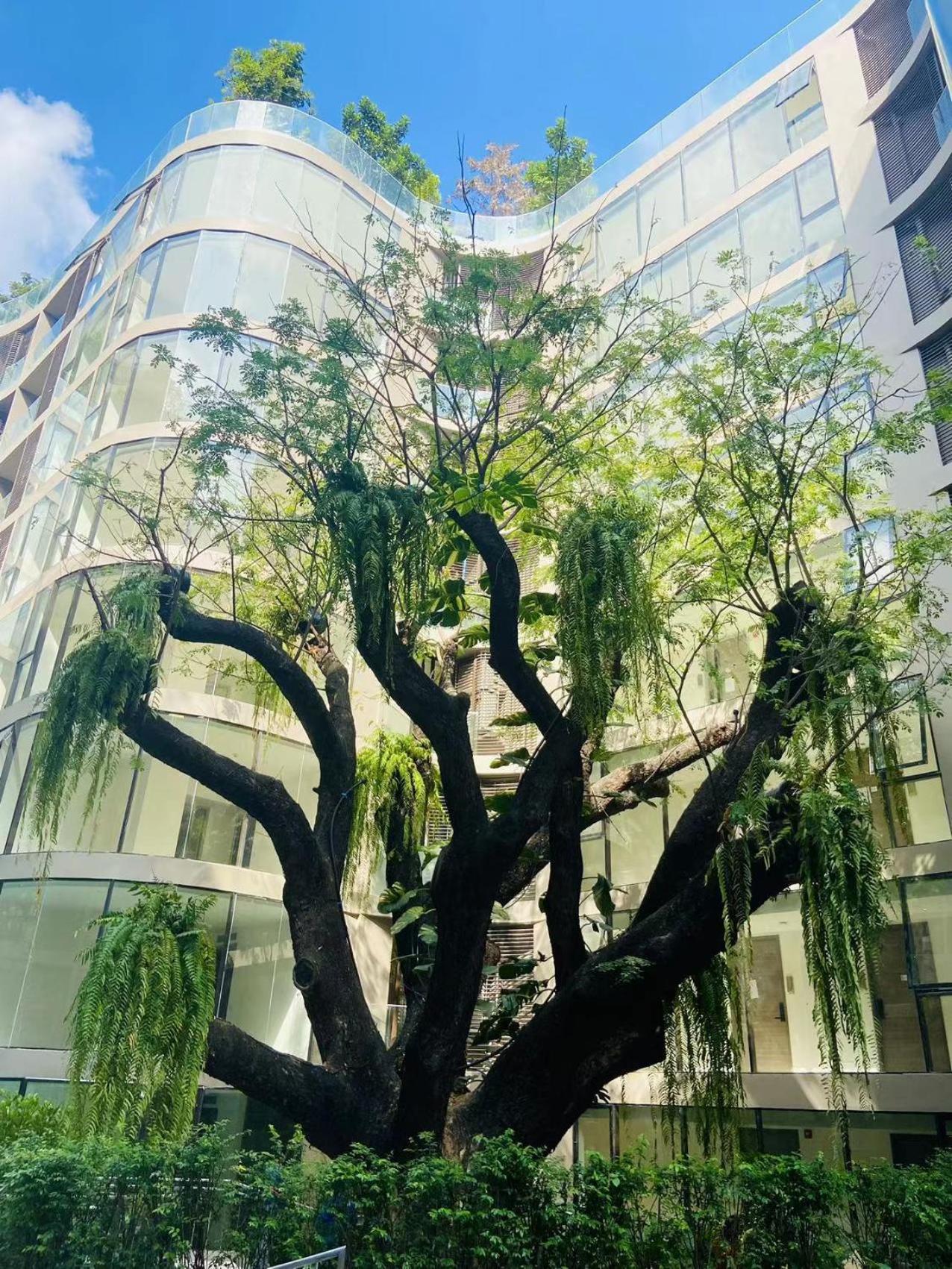 Appartement Sukhumvit10 Asoke Nana Terminal 21 Korea Town 96