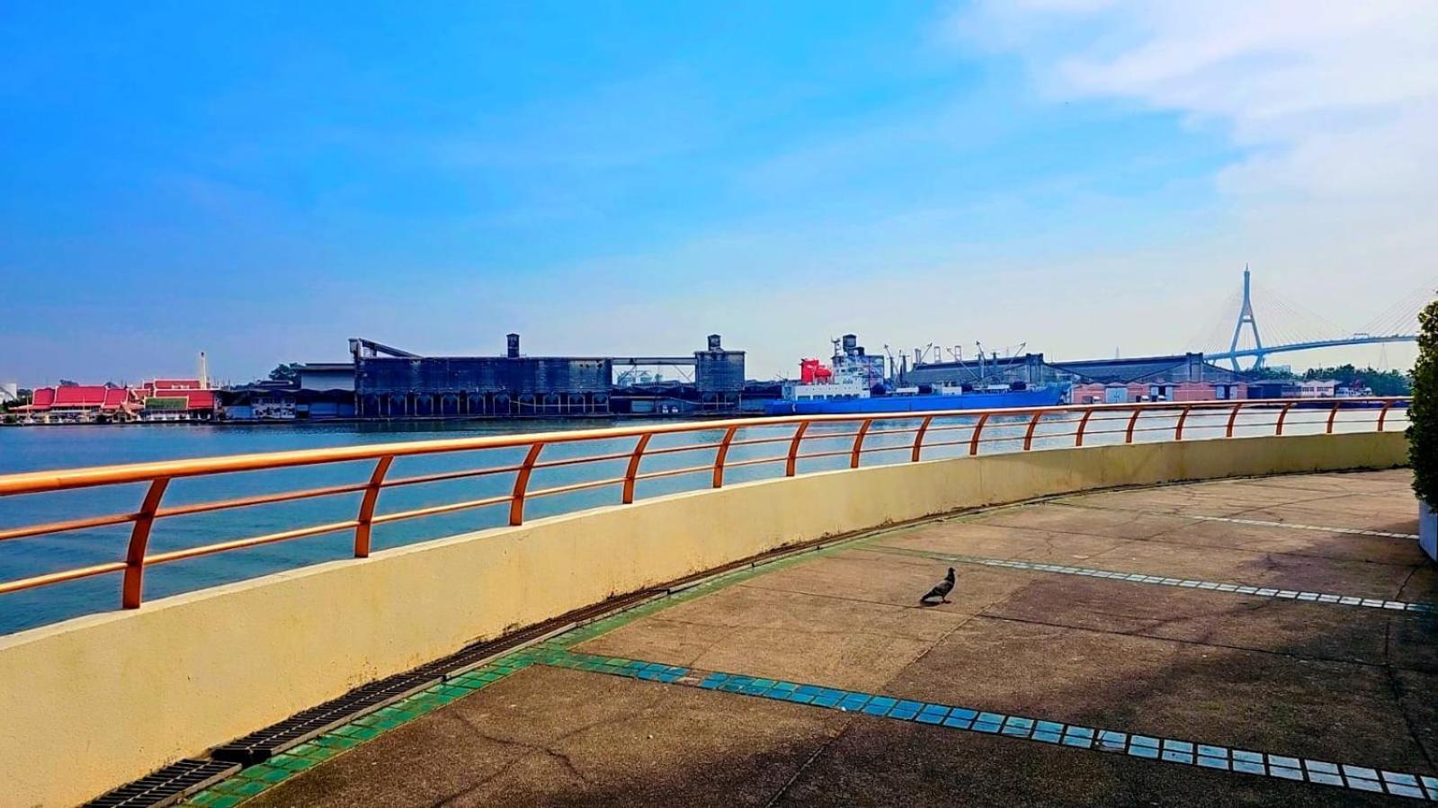 River View Active 7
