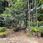 Paragon Inn