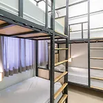 Bunny Burrow Hostel