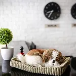 The Cube Hostel Silom