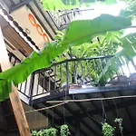Eco House