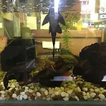 Jeesnail Guesthouse