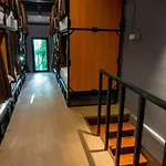 Comfy Bed Hostel