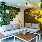 The Lol Elephant Hostel