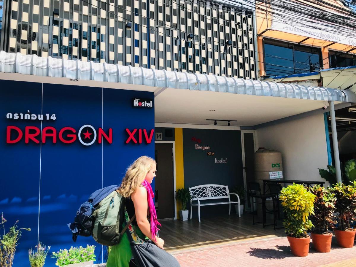 Albergue Dragon Xiv