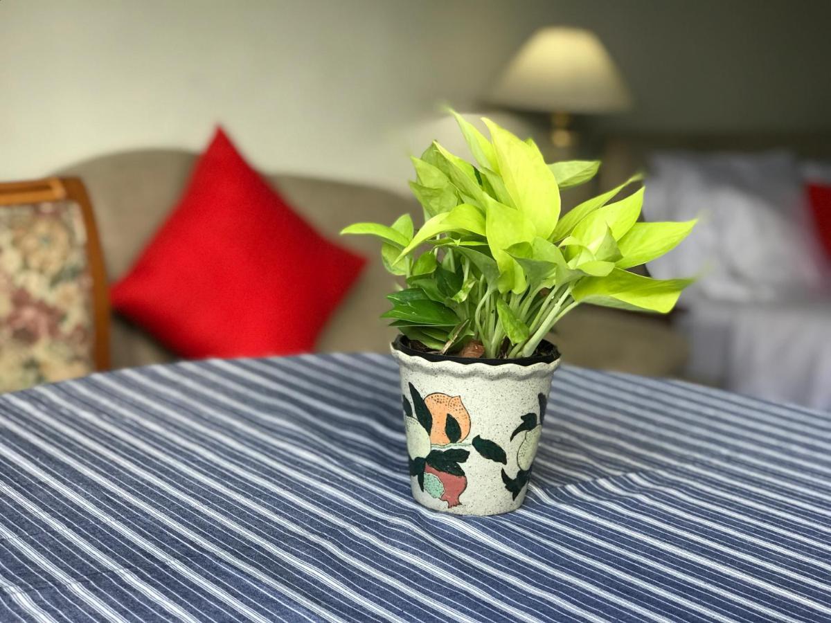 Cozy Central 25th Floor Beautifull Balcony Leilighet *