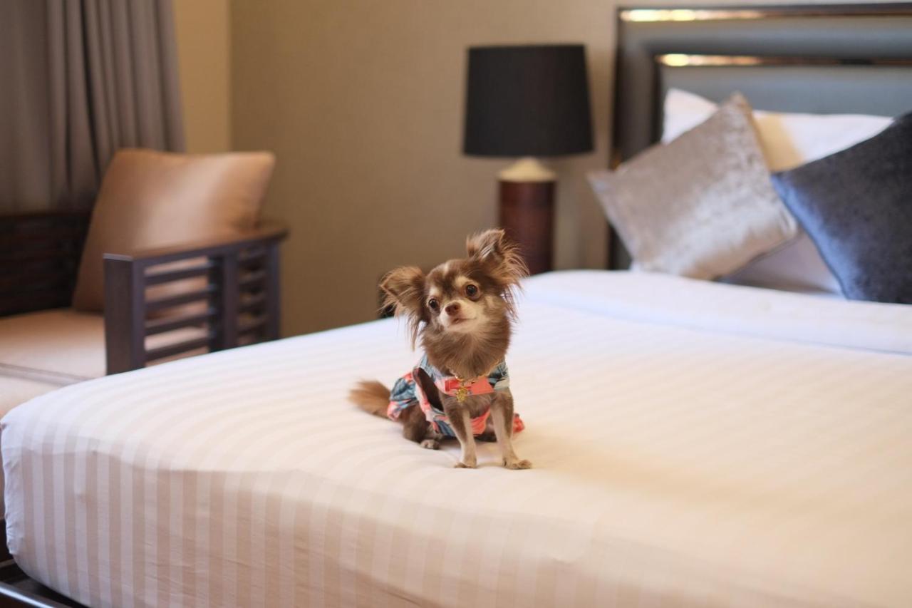 Hotell Grand Mercure Asoke 5*