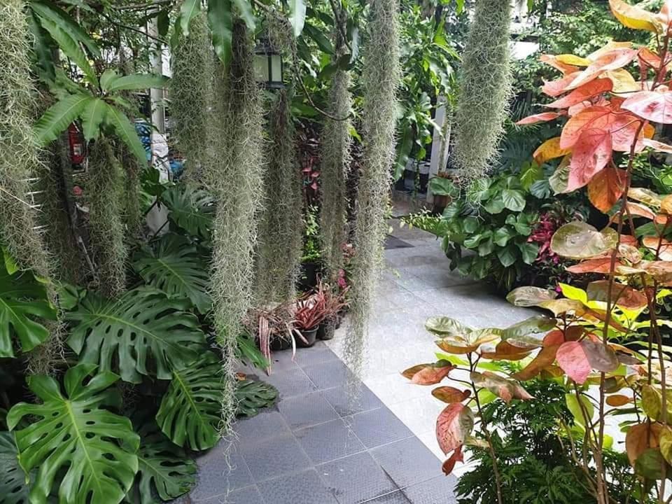 Accommodatie bij particulieren 37 Nature House