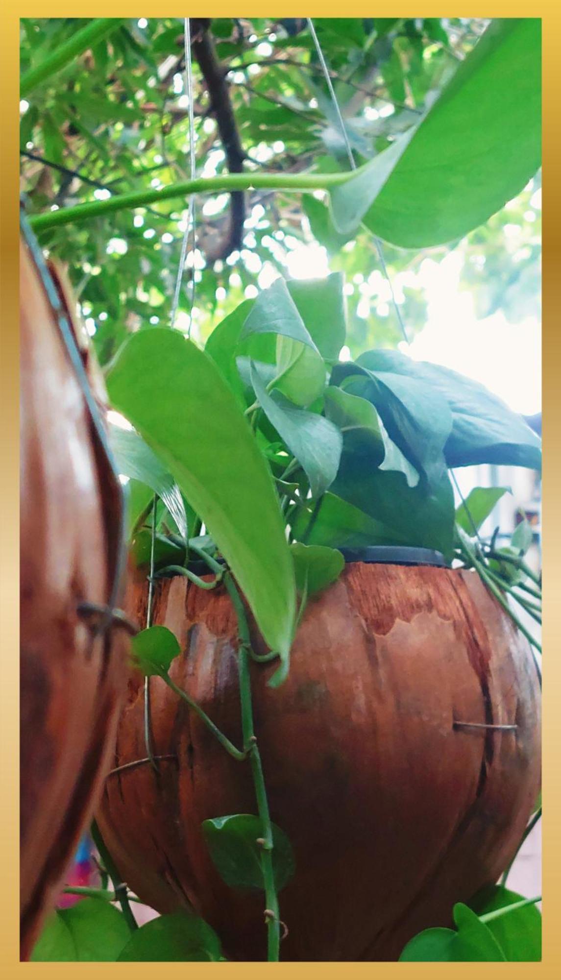 Sweetheart Tree Homestay Guest house Bangkok
