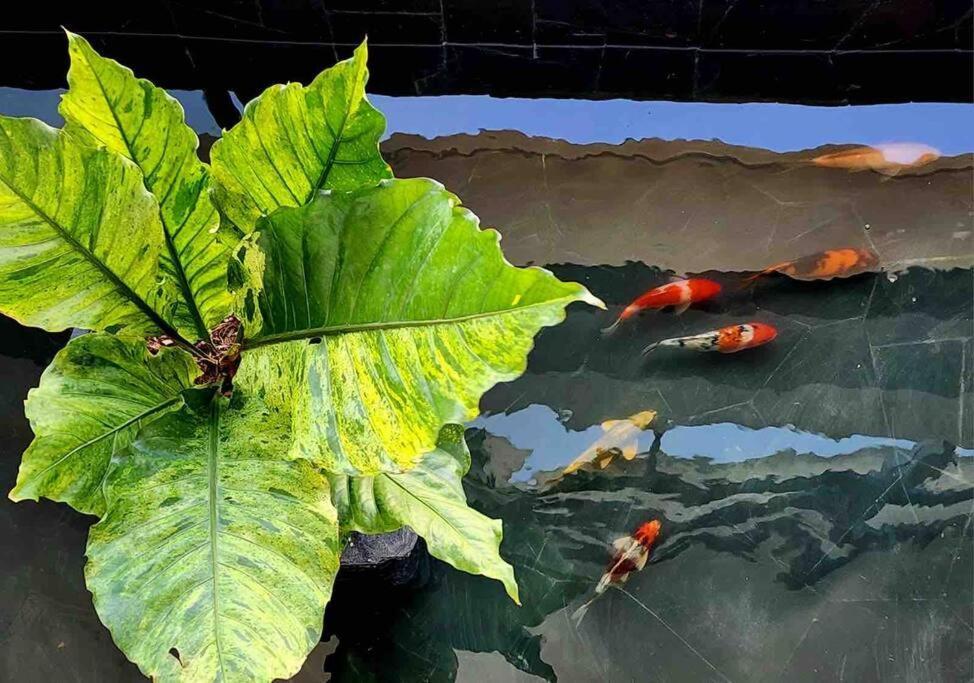 Rooftop Paradise & Koi Pond-6br Hideaway@icon Siam Bangkok