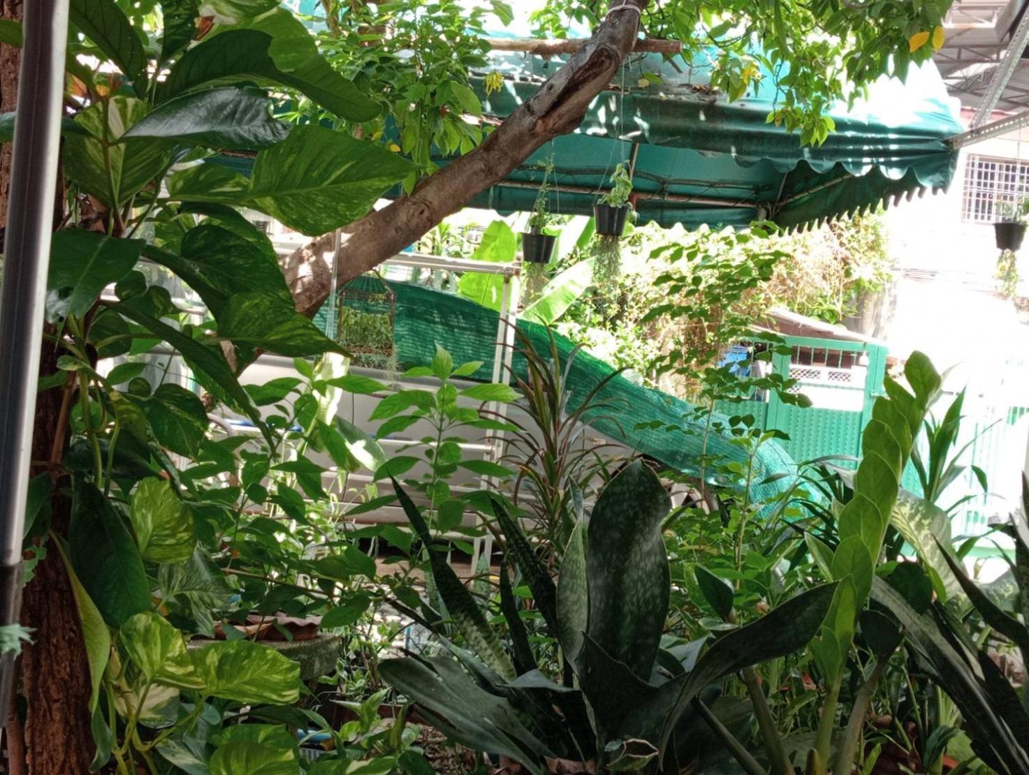 Guest house Young And Beautiful Bangkok