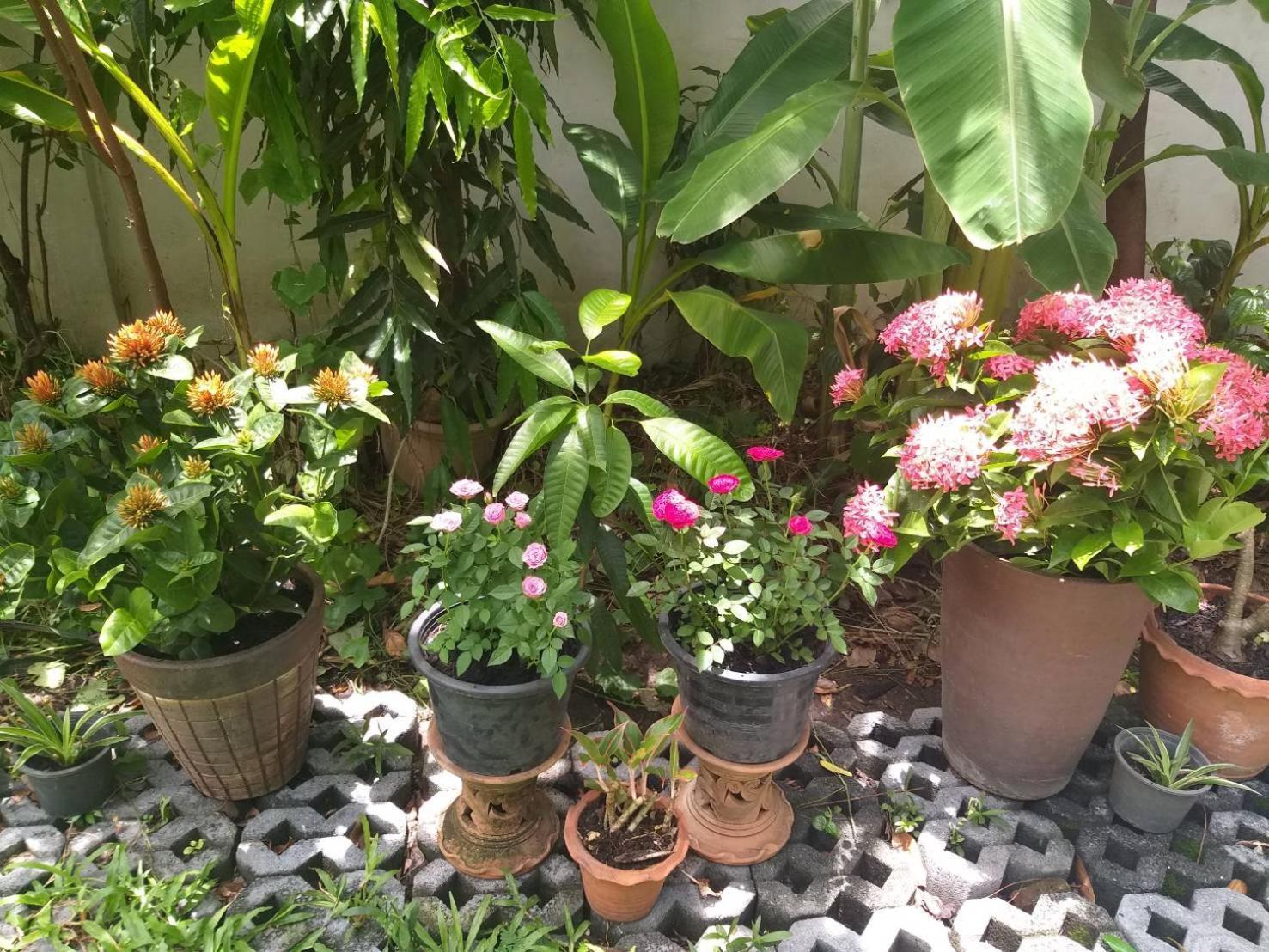Young And Beautiful Bangkok