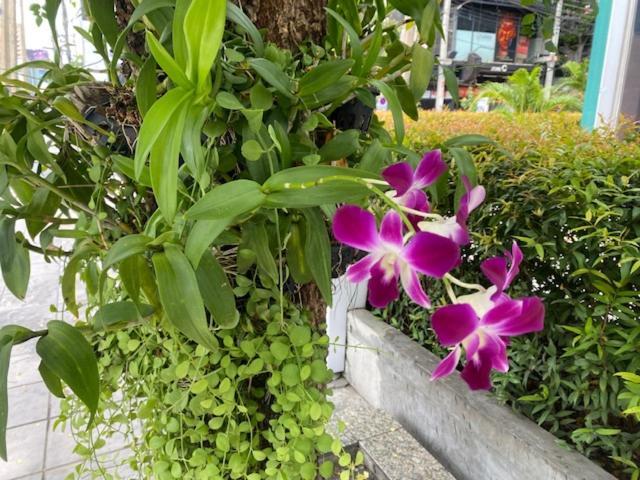 Vivi Avenue Thonglor Bangkok