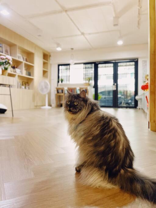Apartment Single Beds, Private Bath & Balcony, Shared Kitchen With Local Family By Pillows & Purrs *