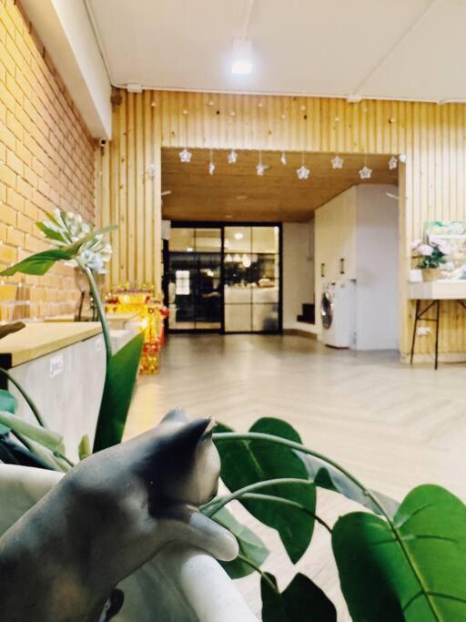 Apartment Single Beds, Private Bath & Balcony, Shared Kitchen With Local Family By Pillows & Purrs