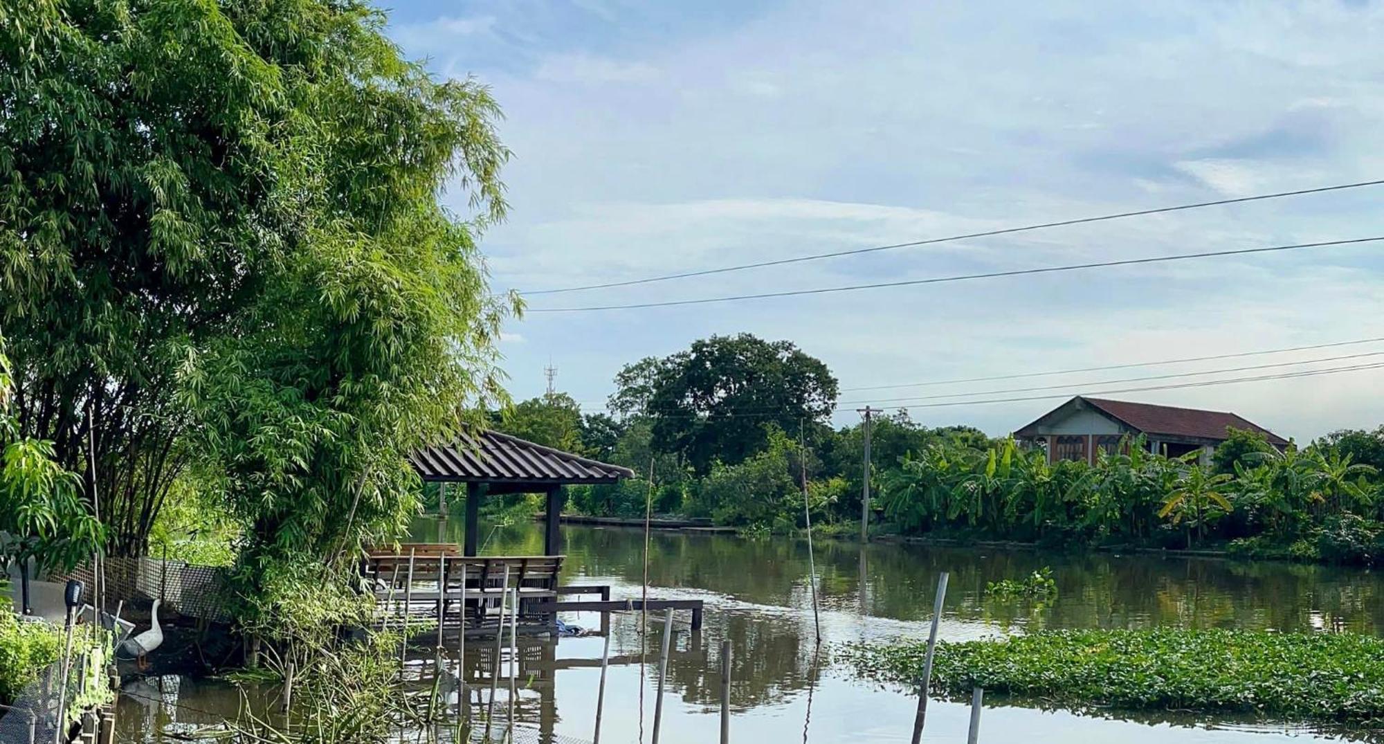 Guest house Croc Camp *
