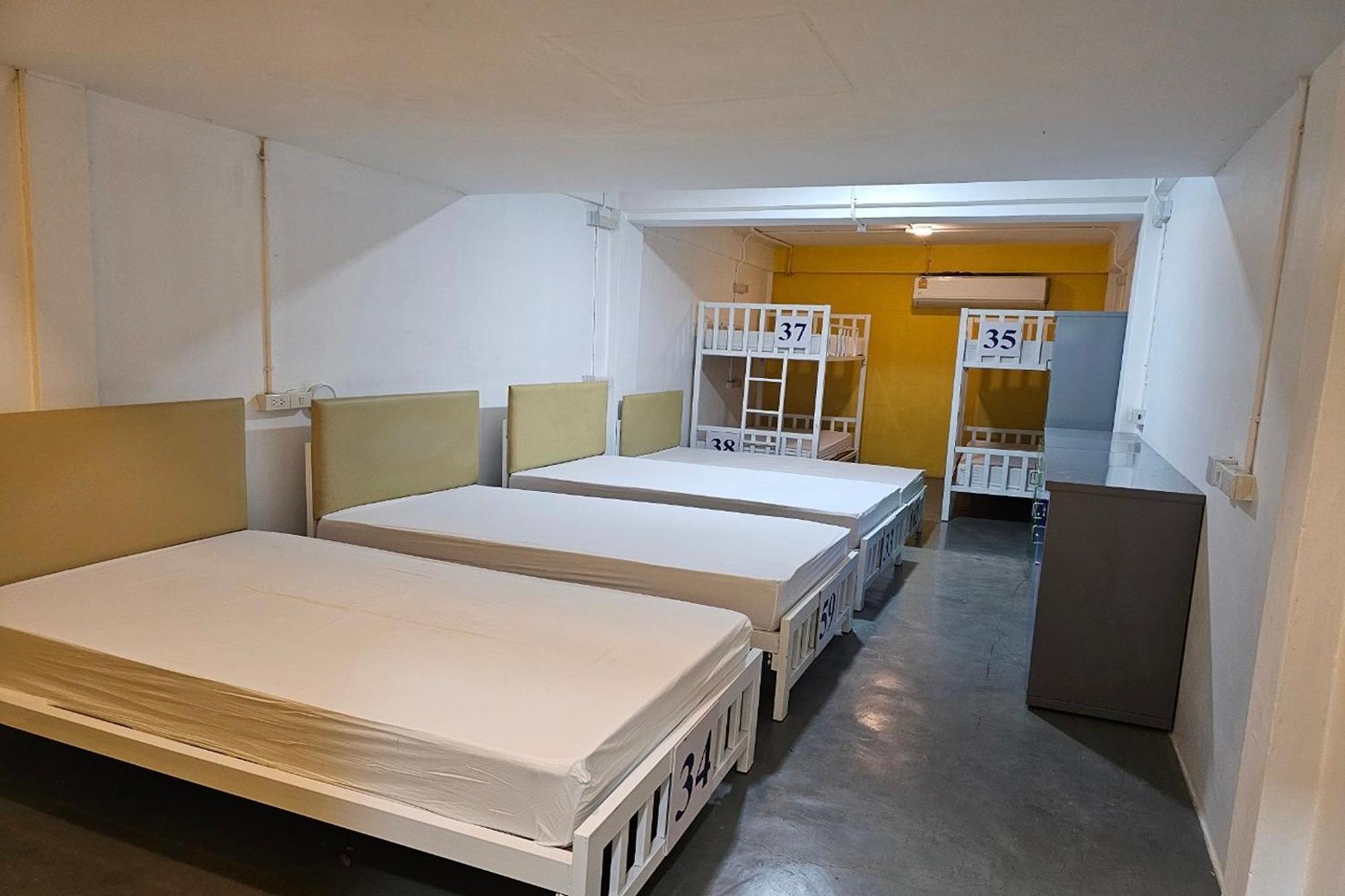Hostel The Art