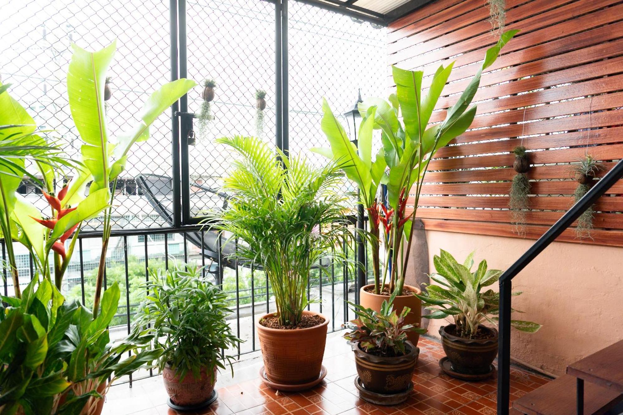Pillow Pillow House Near Bts Phromphong Station *