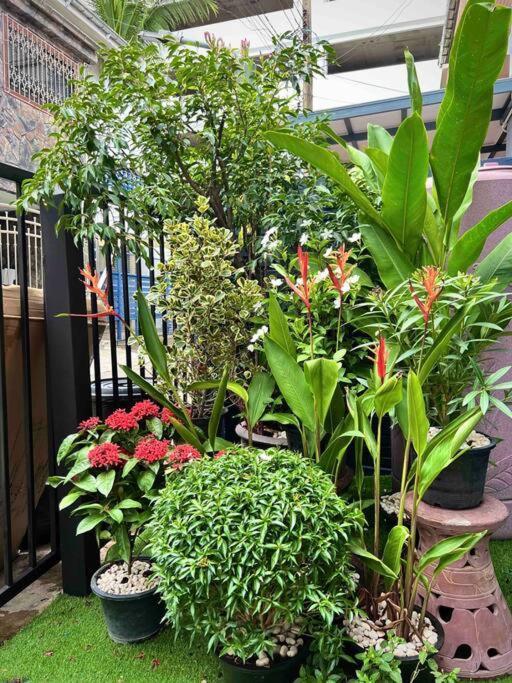 House 5rooms,bts Nana Bangkok