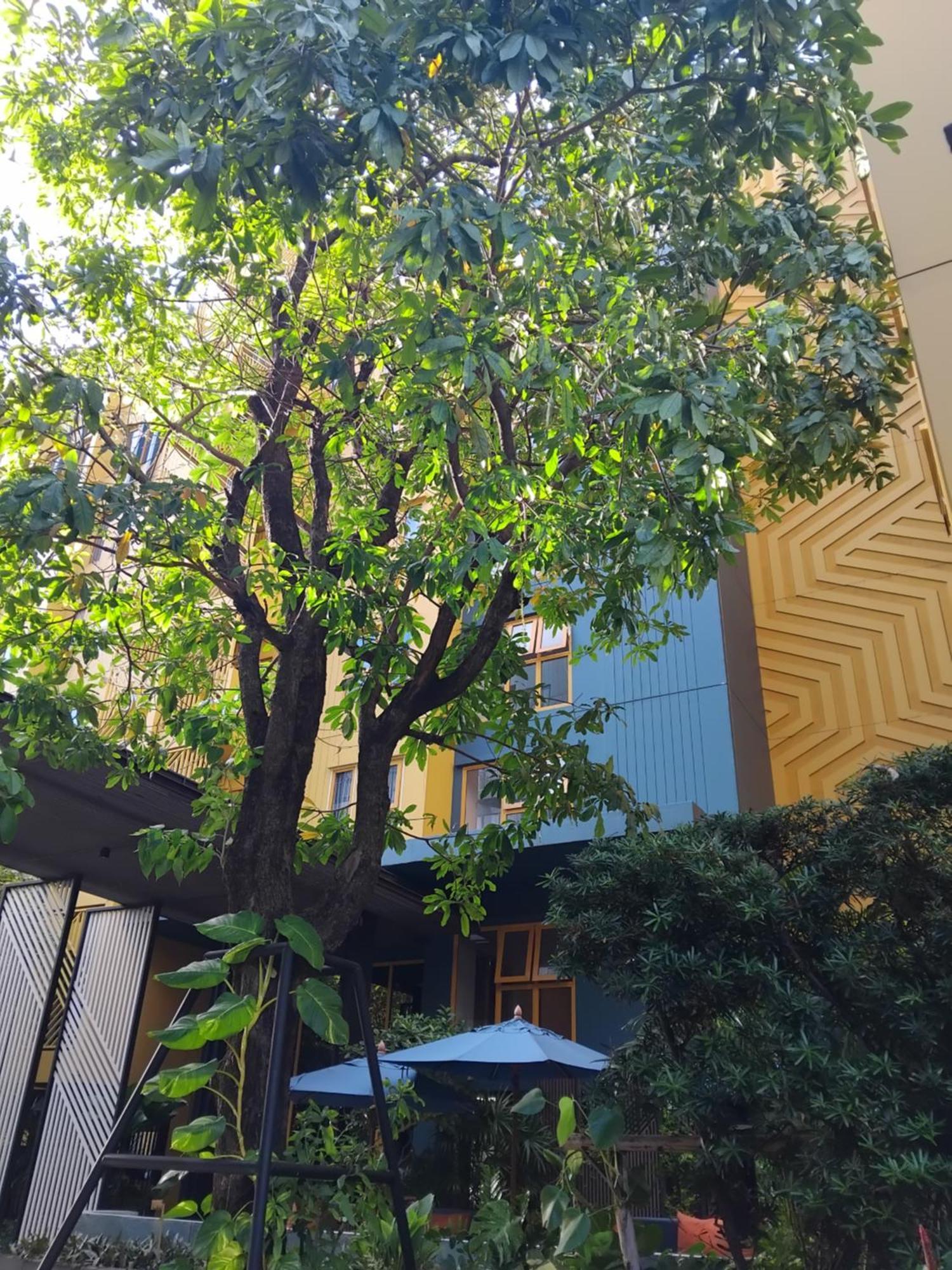Blissfield At Bts Onnut Sukumvit 50 Leilighet Bangkok
