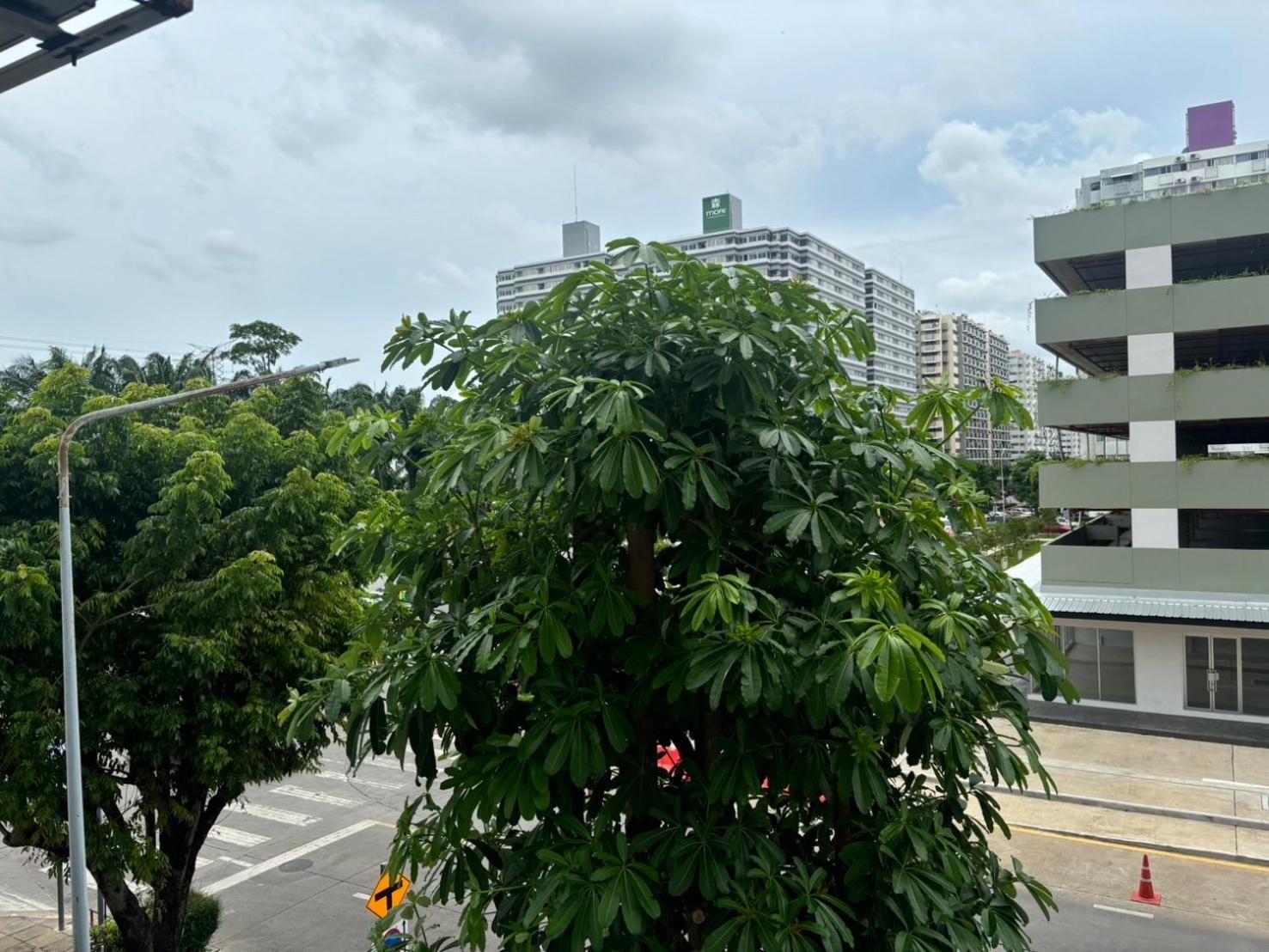 Popular T8 Fl.8.2 Bangkok