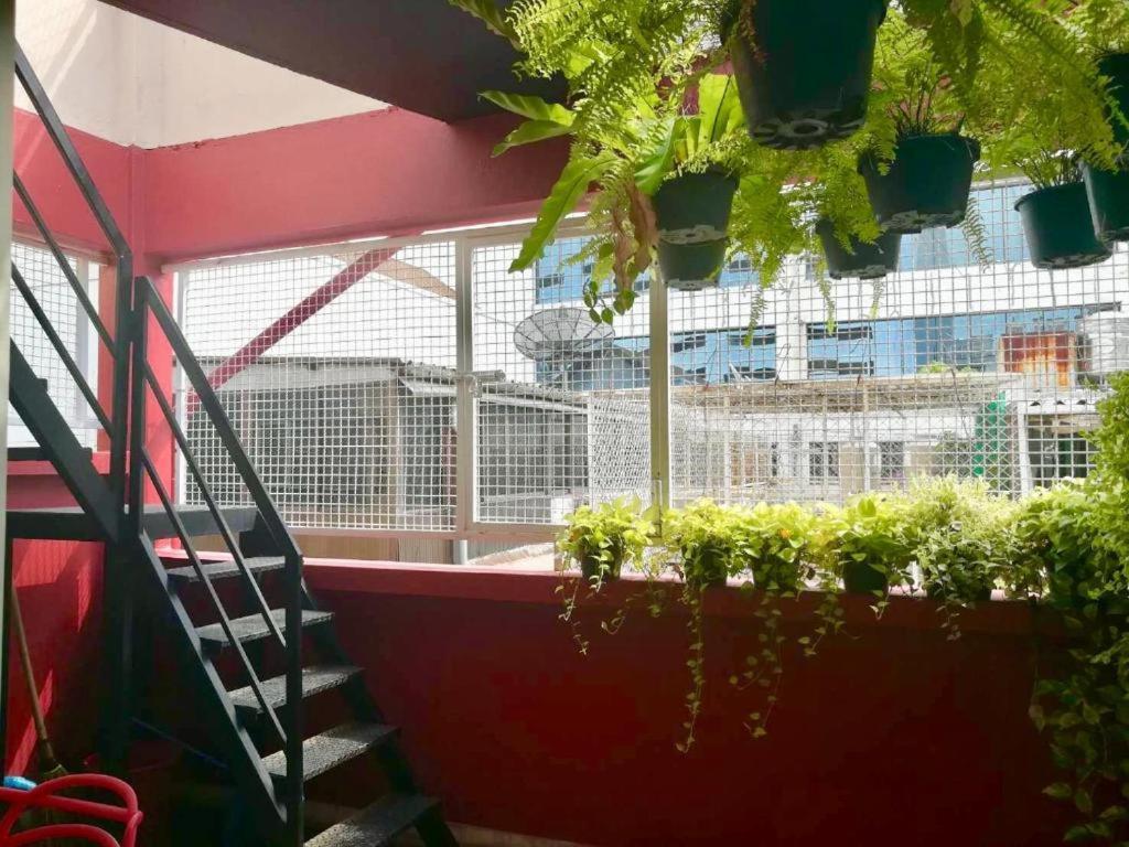 Dreamcatcher Hostel Bangkok
