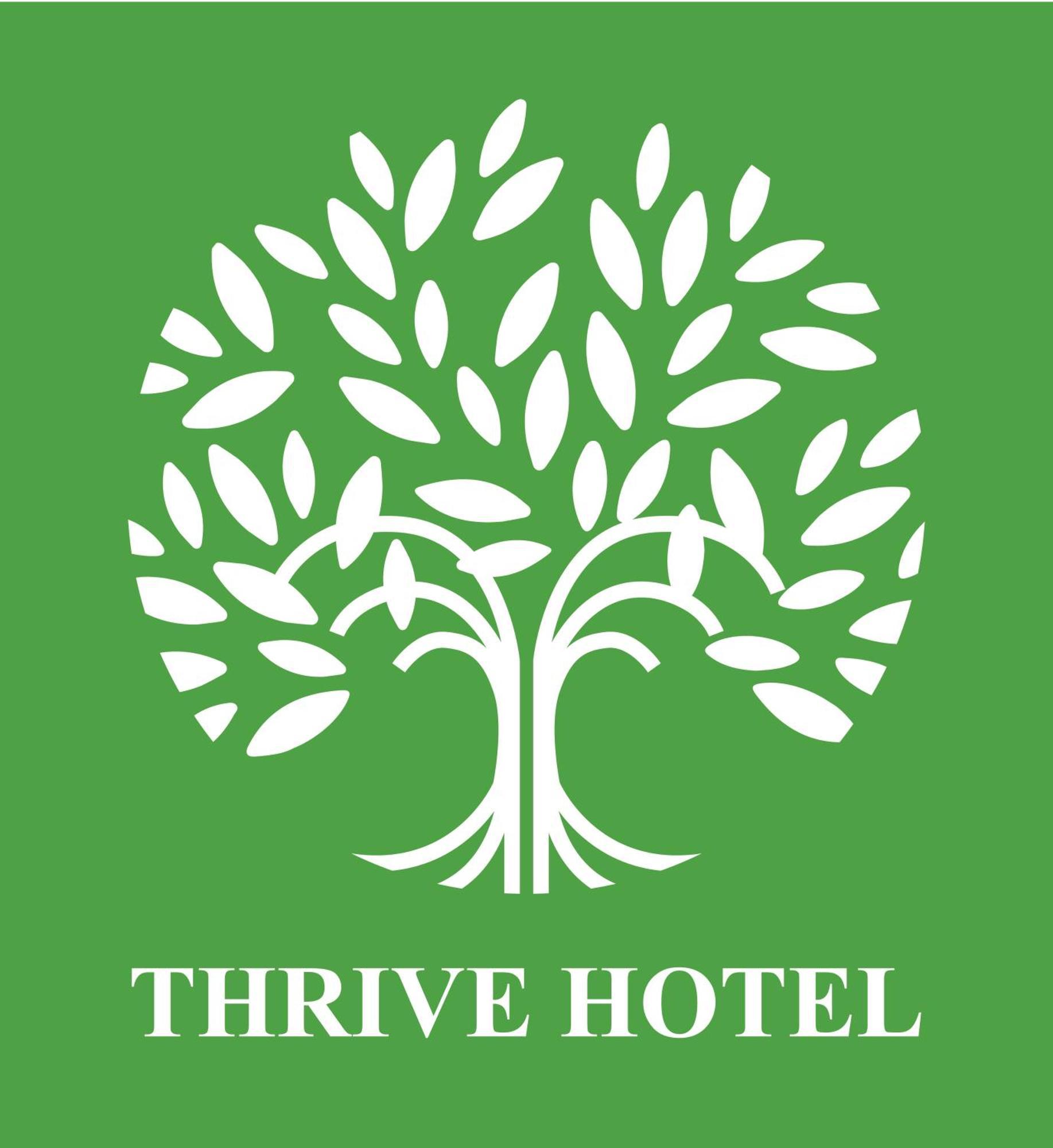 Khách sạn Thrive 3*