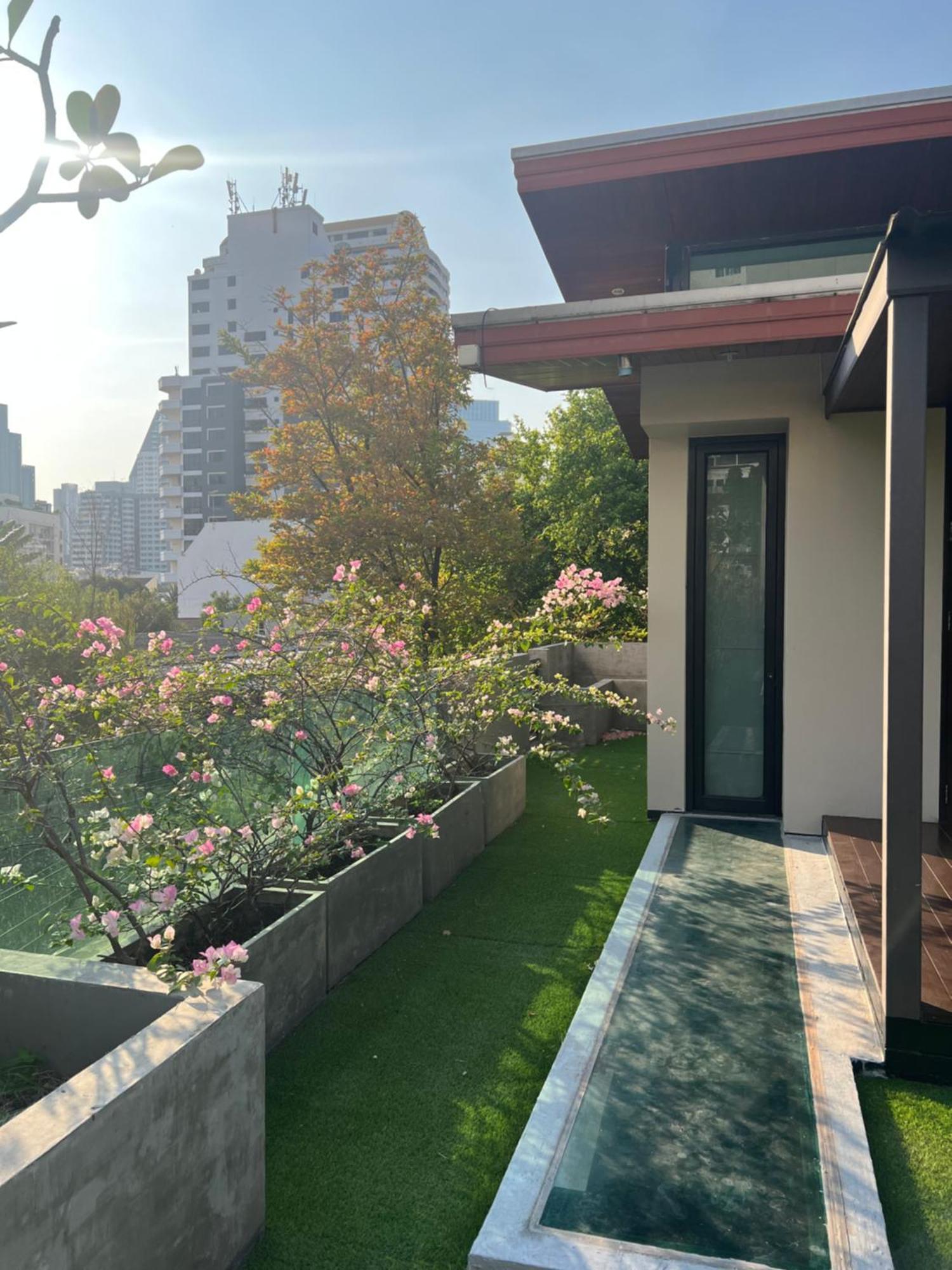 Luxury Oasis In *