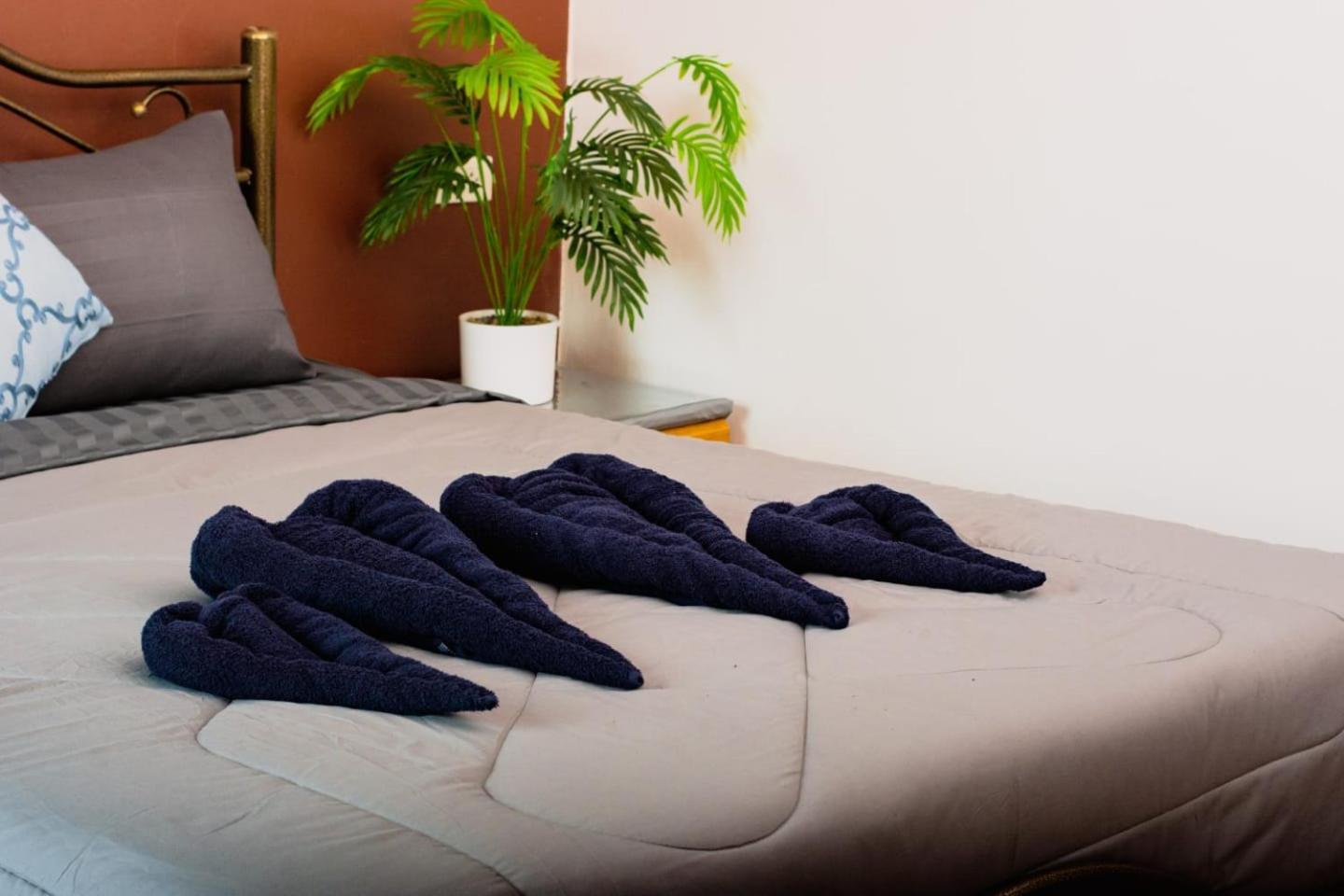 Bm Hostal Bangkok