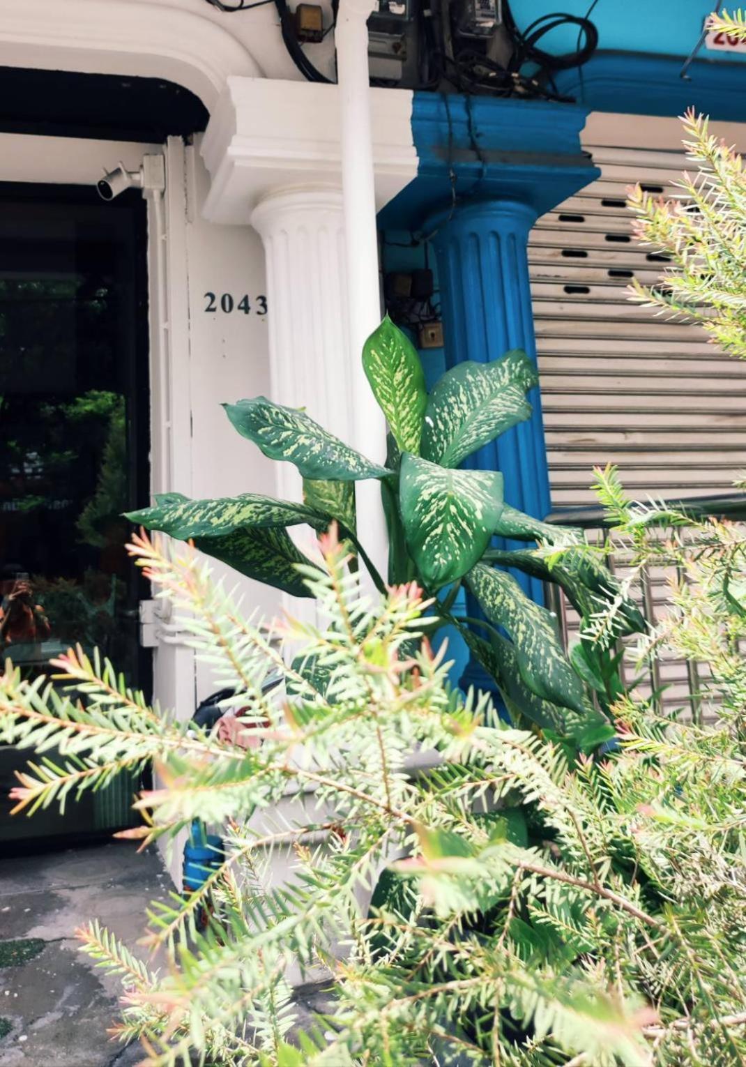 Bed & Breakfast Mstay Bangkok