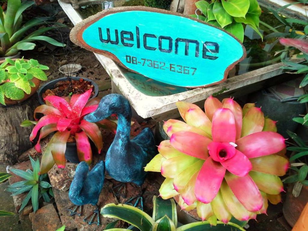 Garden Homestay *