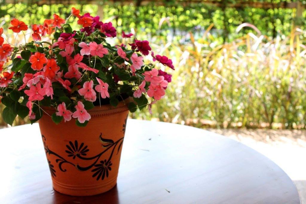 Homestay Garden Bangkok