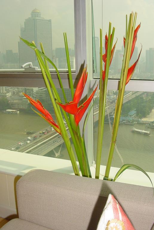 Bangkokdreamapartments Pangsapuri