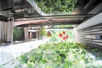 Kansiree Boutique House Couette-café Bangkok