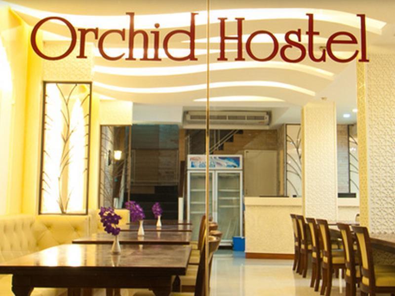Hostel Orchid