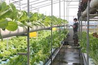 Inn Bansabai Hostelling International Bangkok