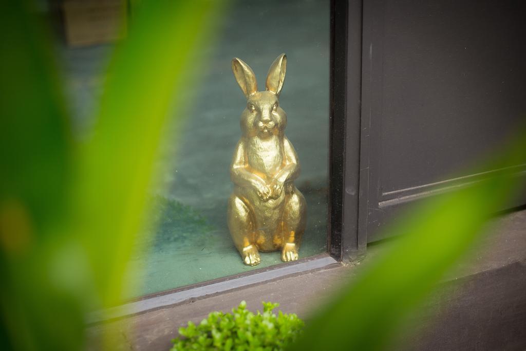 Auberge de jeunesse The Rabbit's Hole