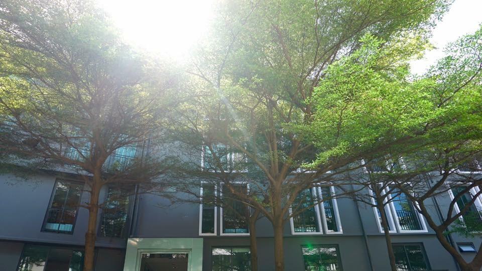 Gasthof Bbhouse Khlongtan Bangkok
