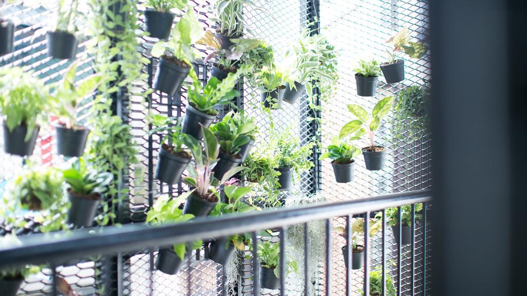 Lamurr Sukhumvit 41 Hostel