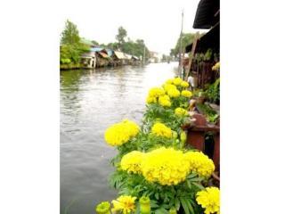 Bangluang House