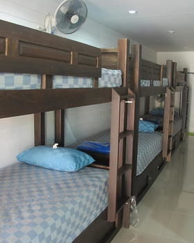 Back Backpackers Ostello