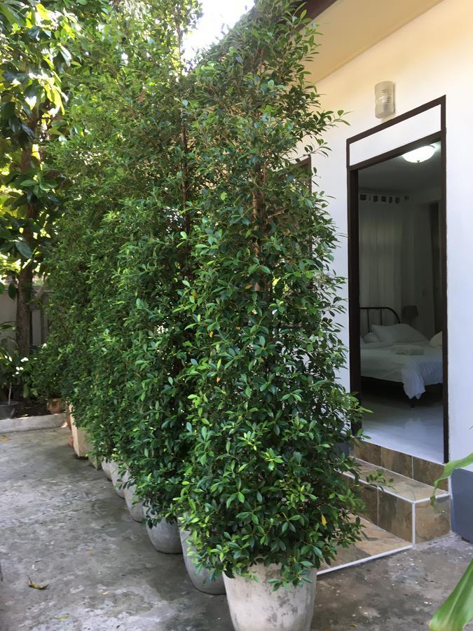 Homestay Many Trees Bangkok