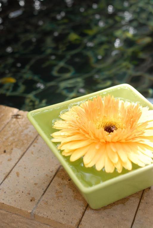 Hostal Baan Dinso