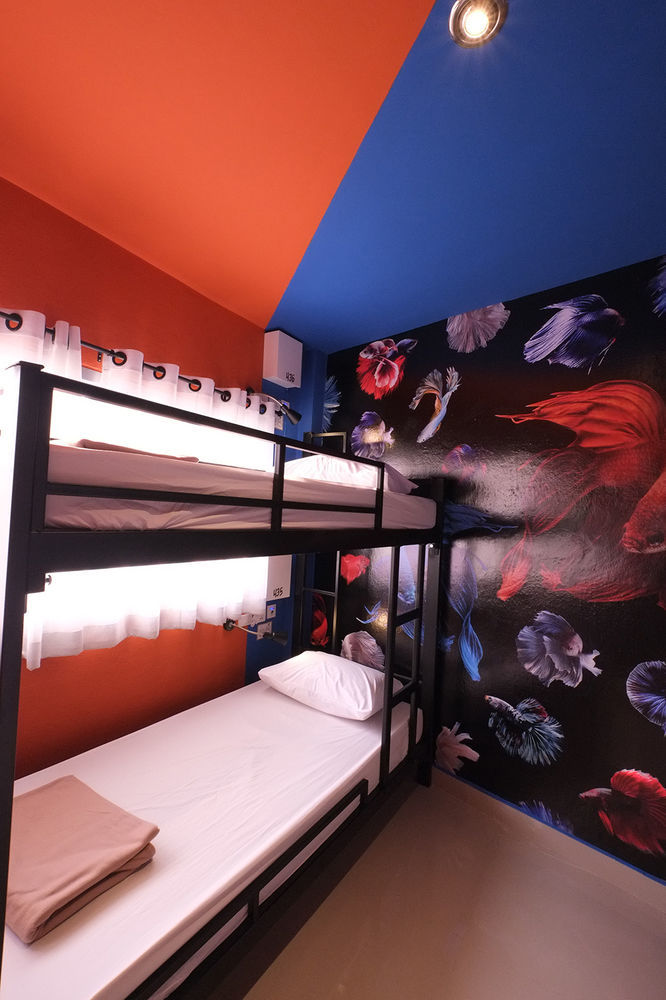 Everyday Hostal