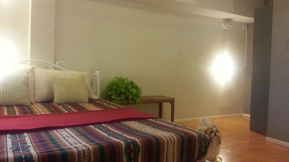 Need Sleep Hostel