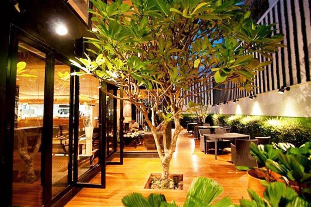 Grass Thonglor