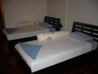 Himalaya Guest house 3*