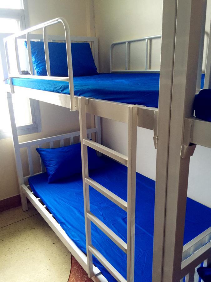 Small Elephant Hostel