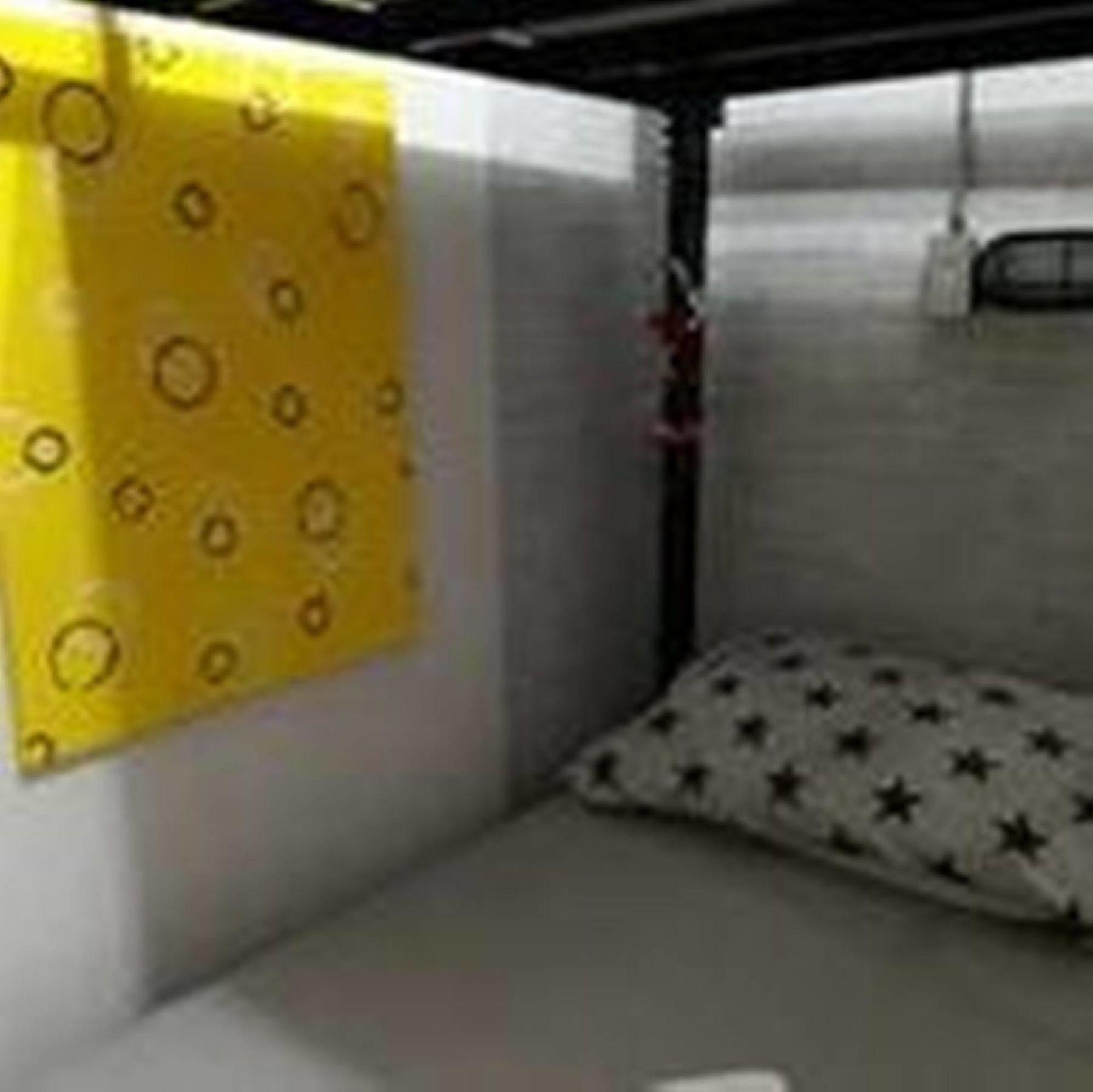 Bed Hostel